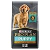 Purina pro plan high protein dry puppy food chicken and rice formula 6 lb bag  urban country home decor