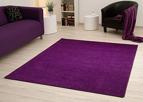 Steffensmeier Kurzflorteppich Cambridge Young | Teppich für das Wohnzimmer, Jugendzimmer in Lila,...