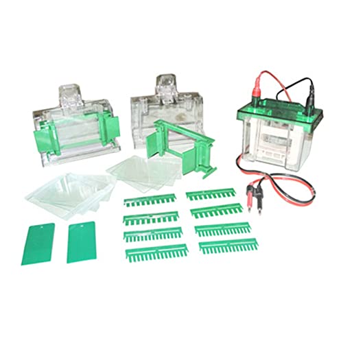 ROROLL - Electrophoresis Apparatus, Universal Small Vertical Electrophoresis Tank 2 Pieces of Glue Without Glue for classrooms and Small Labs