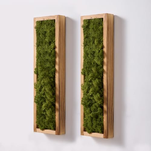 Mokof 2 Pack Moss Wall Art | 17.3-inch Vertical Wood Frame | Moss Green