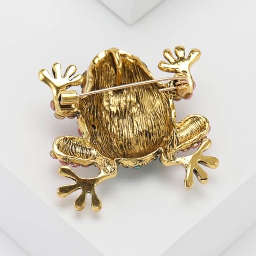 Image of Cute Frog Brooch and Pins for Women Men Lucky Brooches Gift