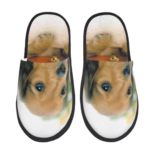 [JECASS]  lC v[g Aj Xbp  Y 􂦂 gC qp p E Xbpjp LN^[ ObY  fB[X ~ 킢 qpl