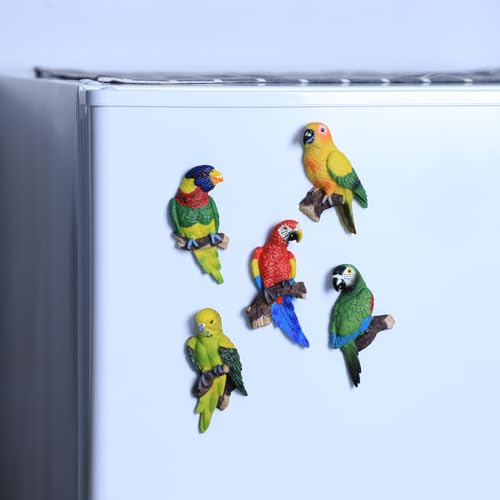 5 imanes de loro decorativos para refrigerador miniatura 2