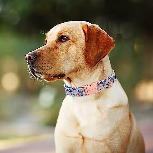 Unique Style Paws Dog Collar With Metal Buckle - Red Rose Flower Gift for Small, Medium, Large Boys Girls Dogs - Durable and Cute #2