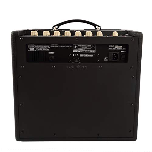Vox VT40 + Ampli Guitare 60 watios - Les Beatles, Paul McCartney, John Lennon, RIngo Starr, George Harrison Vox VT40 + Ampli Guitare 60 watios – Image 4