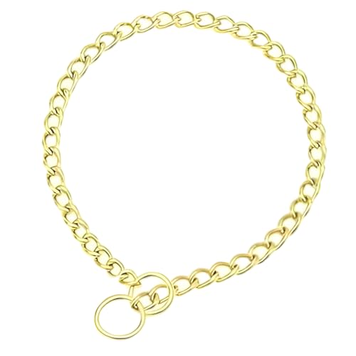Collare a catena in oro per cani, in metallo, per cani, Heavy Duty Formazione, Martingale, per XXS XS, S, S, piccolo, medio, grande, per animali domestici, ragazzi, ragazze, XSmall