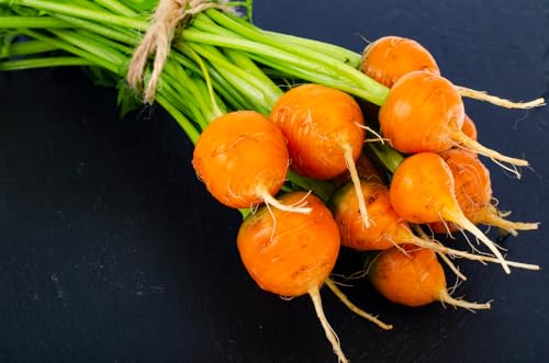 1000 Samen Runde Möhre Mercado de Paris Karotte hoher Ertrag Garten Beet Gemüse