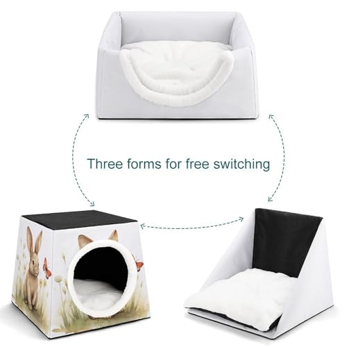 Nichoir capsule spatiale pour lapin et chat de petite taille