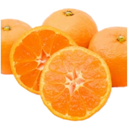 五色青果 訳あり温州みかん約5kg(2L-2S) みかん 温州みかん 果物 果実 みかん 果物 フルーツ フルーツ 香川県 三木町