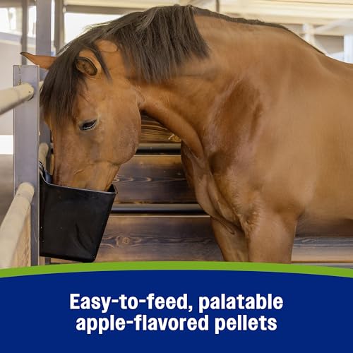 Farnam Apple Elite Horse Electrolytes Pellets Supplement, 40 Day Supply | Replaces Vital Minerals, For Hydration, No Added Sugar, Horse Supplements with Sodium, Potassium, Calcium & Magnesium - Image 7