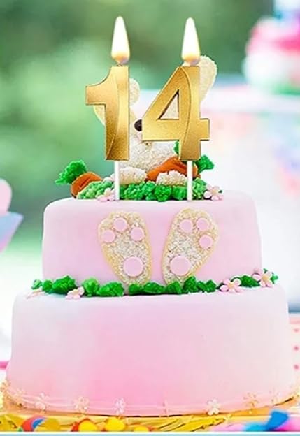 Image of Number Candles 3 inch for Birthday, Wedding, Engagement, Valentines Day Celebration, Theme Party Cake Decoration Gold (Numerical No 14 or 41)
