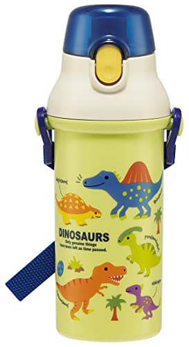 Skater Dinosaur 480ml direct drinking water bottle