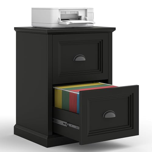 Lumoti Vertical Small File Cabinet, Farmhouse Filing Cabinet with 2 File Drawers Fits Letter/A4 Size for Home Office,Black