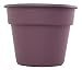 Bloem DC14-56 Dura Cotta Planter, 14-Inch, Exotica