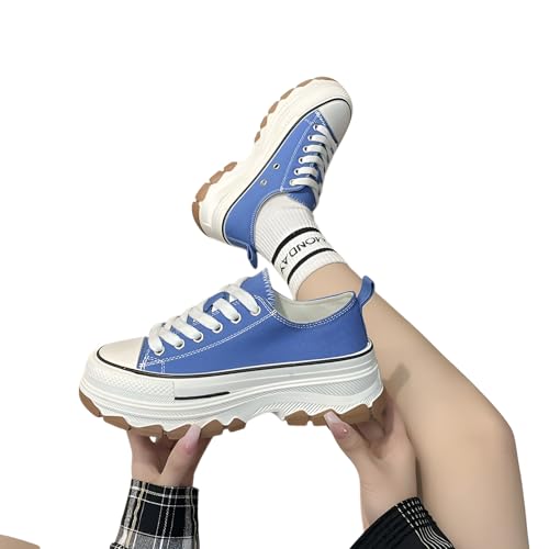 [Kawoly] `X^C Xj[J[  zCg LoXV[Y t p ʊw ʋ U y K tR[f INS  w