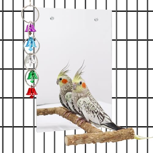 Large Bird Stand Perch with a Mirror and Bells, Bird Toys, Parrot Perch Stand, Cage Accessories for African Grey Budgie Cockatiel Lovebird Conure Small to Medium