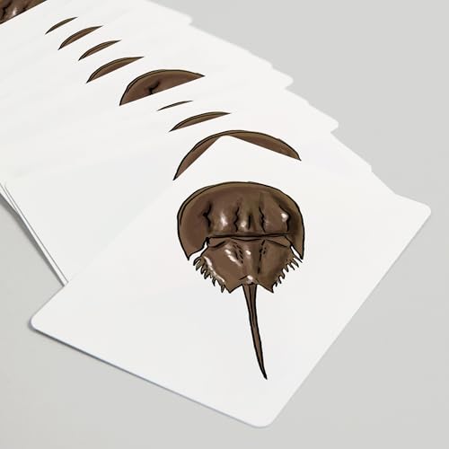 Lantern Press Horseshoe Crab 52 Cartas Póker miniatura 5