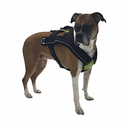 Frontpet FRO-DH-PH Dog Pulling Harness & Pulling Leash - Adjustable Padded Dog Vest thumb #4