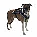 Frontpet Dog Pulling Harness & Pulling Leash - Adjustable Padded Dog Vest for Sledding, Running, Jogging and Exercise, Safety Reflective Strips, No-Choke Vest, Perfect for Large Dogs