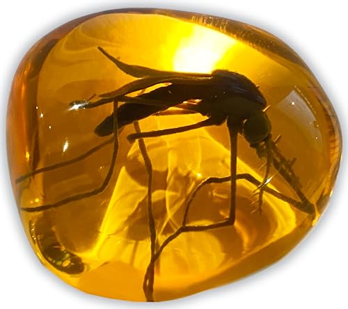 VEOJEIN Mosquito in Amber Fossil Replica Light Paperweight – DNA's Ancient Window – Dinosaur Era Relic – Premium Resin Artifact – Perfect for History & Paleontology Enthusiasts