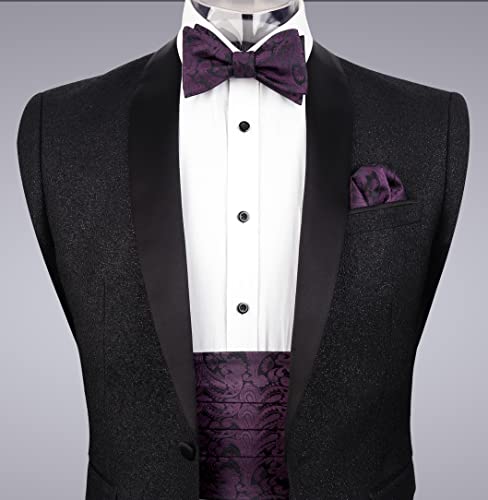 Image of Alizeal Mens Paisley Adjustable Bow Tie Set