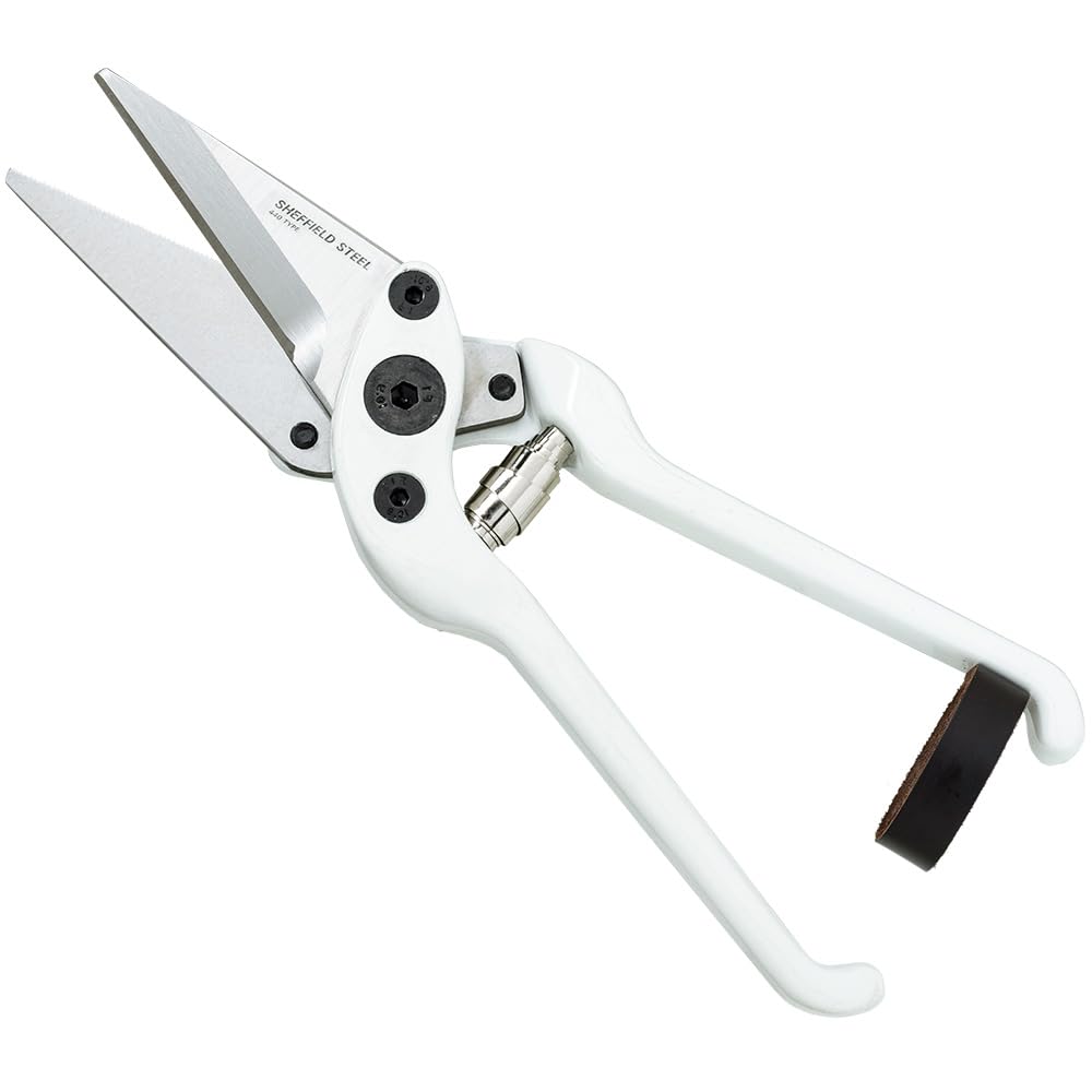 product_img5