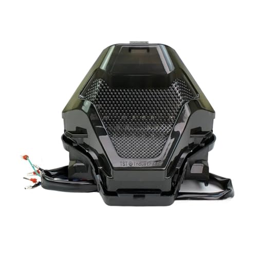 Feu arrière de moto avec clignotants LED pour YZF R3 R25