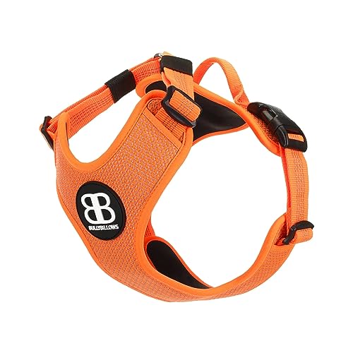 BullyBillows Active Light Hundegeschirr mit Griff | Premium-Geschirr mit gepolstertem Innenfutter & hochreflektierendem Design | Geeignet für alle Hunderassen | Orange |Extra Groß