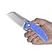 Kizer Knives Pocket Knife with Clip G10 Handles Material EDC Folding knife Mini Sheepdog V3488C3