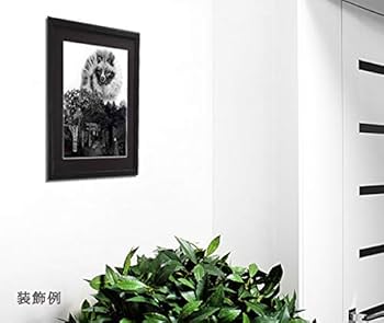 Amazon.co.jp: 【フレーム付き】アートポスター 狸 インテリア