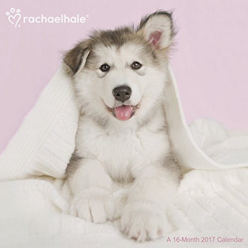 Rachael Hale Dogs Wall Calendar (2017)