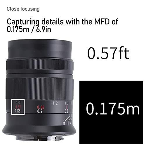 VBESTLIFE Kamera-Halbformat-Makroobjektiv, Objektiv mit großer Blende 60 mm F2.8 II M43-Bajonett-Objektiv mit manueller Fokussierung, mit weichem Unschärfeeffekt, für E-PM1 E-PM2-Kamera – Bild 4