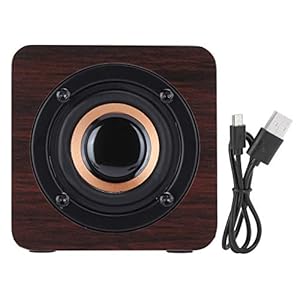 Pelnotac Draagbare Bluetooth-luidspreker, Walnoot kleur luidsprekerbox, Outdoor luidspreker voor thuis, kantoor, feest…