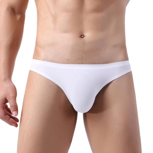 Men's Sexy Low Rise Briefs Panties Breathable Mesh Smooth Underwear