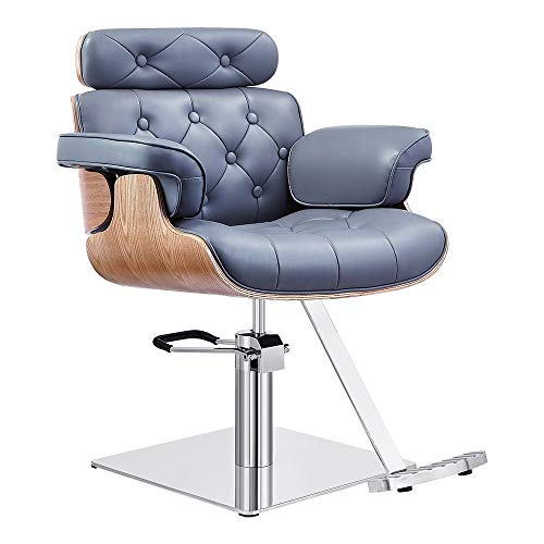 Salon Styling Chair Hydraulic Stylist Chair Dreames In Grey #TOP13