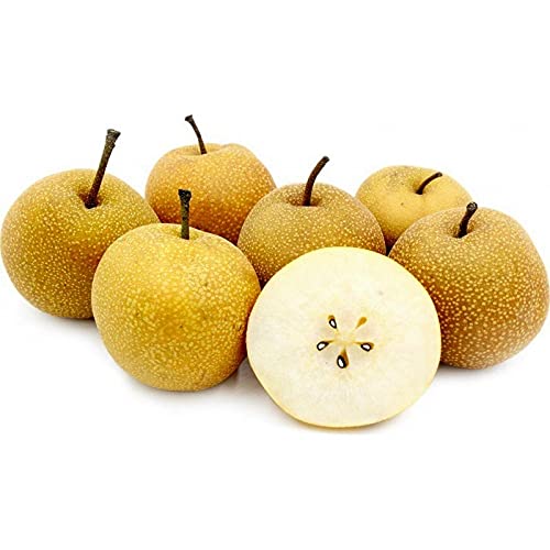 Royal Paradise Garden Rare Pear Fruit Seed"Asian Pear" Exotic 20 Fruit seeds for Growing (B094CJBGQK) Amazon Price History, Amazon Price Tracker