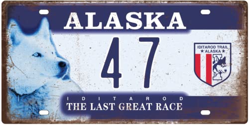 - Lot von 5 US-Metall-Autonummernschildern mit gealterter Wirkung - Nachbildungen echter amerikanischer Nummernschilder und der des Films: Zurück in die Zukunft / OLD5