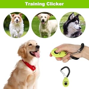   Dog-Training-Kit-Silicone-Treat-Pouch-Puppy-Training-Clicker-2-in-1-Whistle-Clicker-2-Dog-Poop-Bag-Waist-Belt-Fanny-Pack-Easy-Access-to-Treats-3-Ways-to-Carry