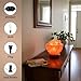POHS Himalayan Pink Salt Fire Bowl Lamp with Salt Crystal Chunks, dimmable Switch Electrical Cord, with Replaceable Bulbs, Premium Wood Base