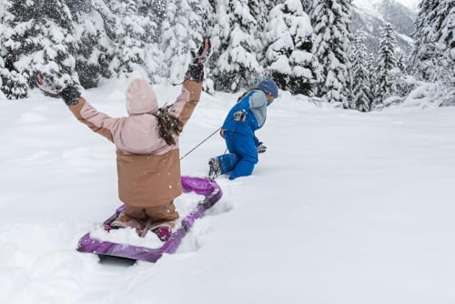 Pelican Sled Snow Glider - Combo 2 sleds - 4 Season Sled - Any Outdoors Activities - Carry Up to 92 lb - Night Wave & Stardust - image 2