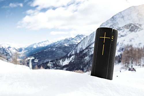 ue boom black panther