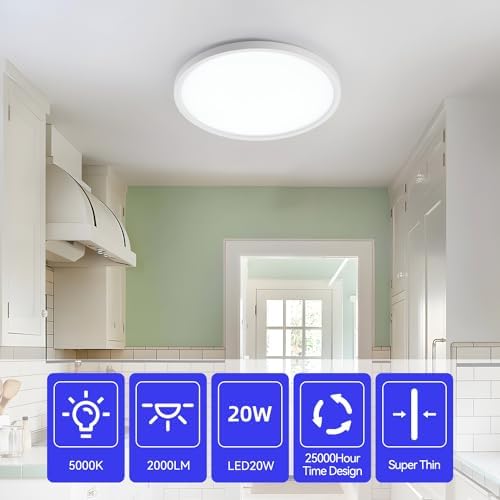 ocioc Lot de 2 plafonniers LED 25.4cm 20W, 5000K, Luminaire de Plafond Rond Ultra Mince pour Bureau, Couloir, Cuisine, Blanc