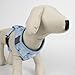 Stitch Hundegeschirr, bequem und verstellbar, ideal für Spaziergänge und Training, Robustes und atmungsaktives Material (Light Blue, XS-S)