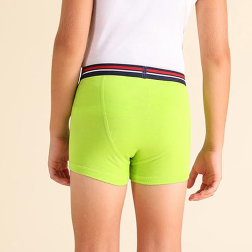 Image of U.S. Polo ASSN. Boy's Cotton Casual Style Trunks (Pack of 2)