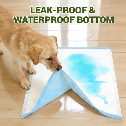 Image of IMMCUTE 100 Count Premium Puppy Pads, 22 inchx23 inch Dog Pee Pads - Ultra-Soft Heat-Sealed, 6-Layer Leak-Proof & Super Absorbent Potty Training Pads for Dogs, Cats, Pets | Crate Training & Indoor Use, Blue