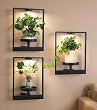 FancyPlus 3 Pack Plant Stand with Lights Hanging Planters for Indoor Plants,Picture Frame Wall Plant Holder Metal Modern Style Floating Plant Rack for Living Room Window Balcony Garden Patio Bedroom Entryway