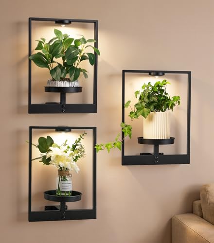 FancyPlus 3 Pack Plant Stand with Lights Hanging Planters for Indoor Plants Picture Frame Wall Plant Holder Metal Modern Style Floating Plant Rack for Living Room Window Balcony Garden Patio Bedroom Entryway
