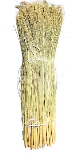 Parker Homestead Craft Broom Corn with Stalks 2 Pound Bundle 24-36 Length