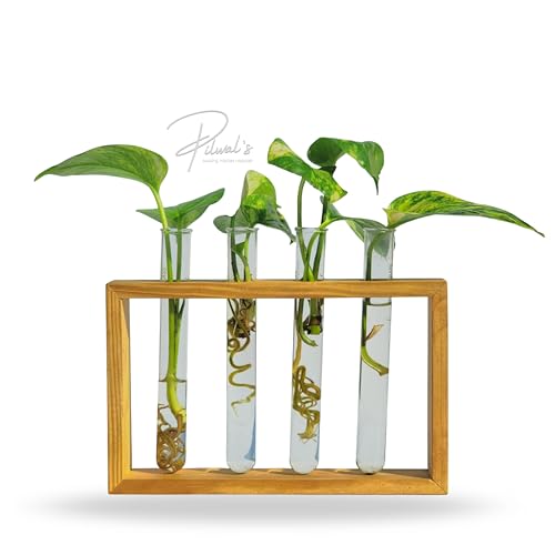 Image of Pilwals Modern Wooden Test Tube Vase, Multi-Tube Hydroponic Propagation Station, Desktop Propagation Station, Flower Holder for Home Office Decor, Four Test Tube Planter with Wooden Stand Pine Wood.