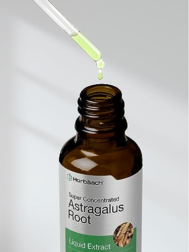 Astragalus Root Extract Liquid | 2 Fl Oz | Alcohol Free Tincture | Super Concentrated | Vegetarian, Non-Gmo, Gluten Free | By Horbaach #TOP6